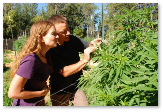 policejskie-o-marihuane-1