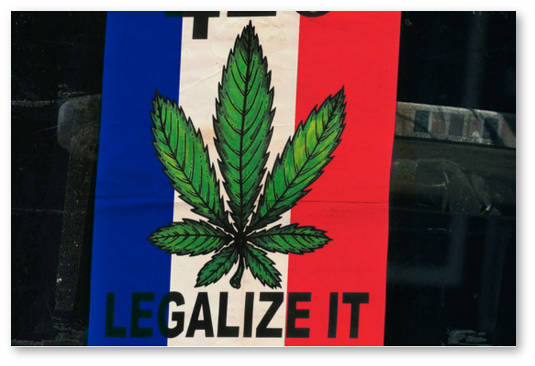 situaciya-s-marihuanoj-vo-francii