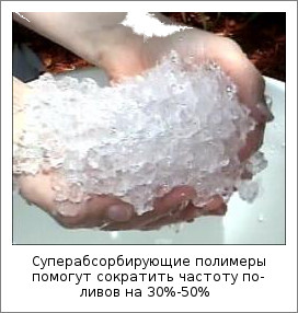 Суперабсорбирующие полимеры помогут сократить частоту поливов на 30%-50%