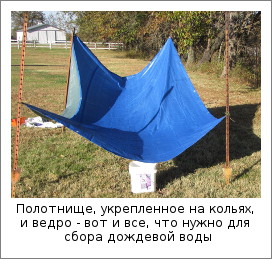 Полотнище, укрепленное на кольях и ведро - вот и все, что нужно для сбора дождевой воды