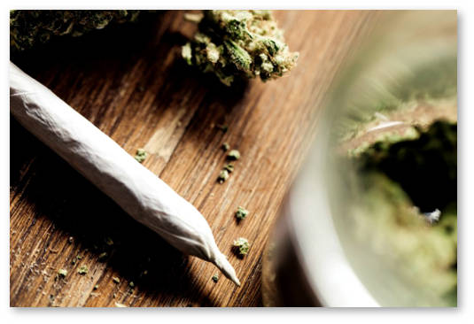 kolorado-ssha-konoplyanye-kluby