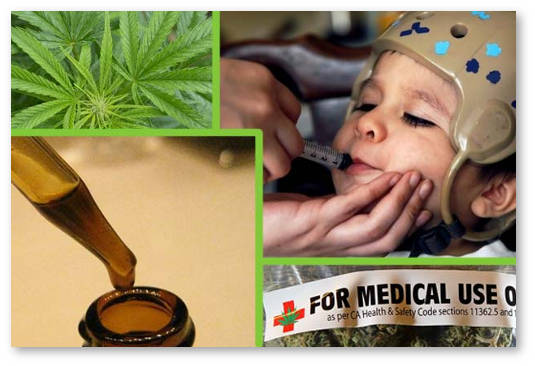 konoplya-ehpilepsiya