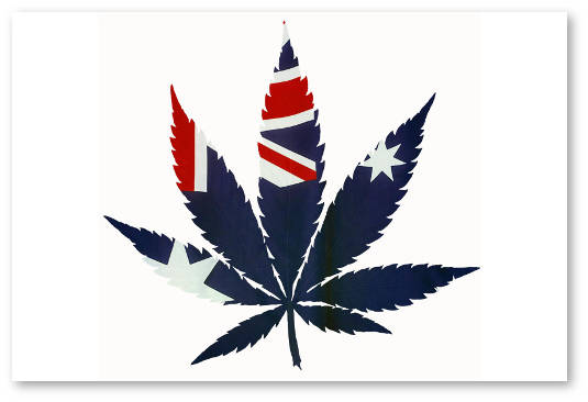 legalizaciya-medicinskoj-marihuany-v-avstralii