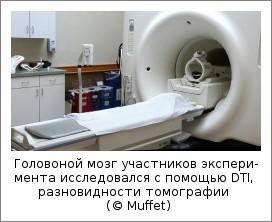 Головной мозг участников эксперимента исследовался с помощью DTI, разновидности томографии (© Muffet)