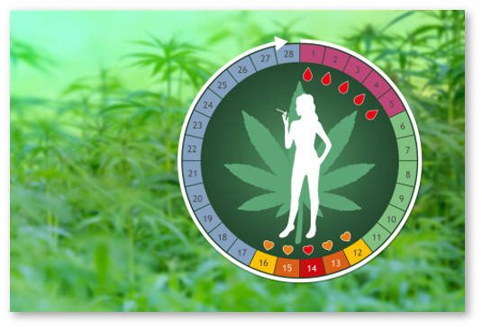 marihuana-zachatie-menstrualnyj-cikl