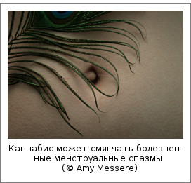 Каннабис может смягчать болезненные менструальные спазмы (© Amy Messere)