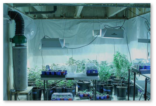 grouboks s ventilyaciej i ugolnym filtrom