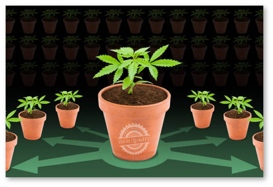 kak sdelat horoshij grouboks dlya klonov