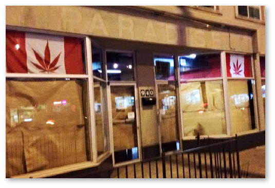 konoplyanoe kafe v toronto kanada