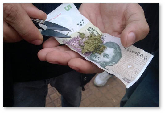marihuana-v-argentine