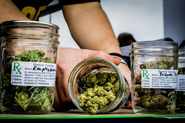 Калифорнийские коноплеводы, как всегда, порадовали посетителей прекрасными и дородными бутонами aka "шишками"