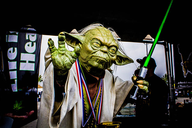 Другие решили призвать светлую сторону Силы, потому что каждый производитель борется ещё и за номинацию