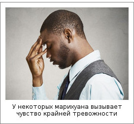 У некоторых марихуана вызывает чувство крайней тревожности