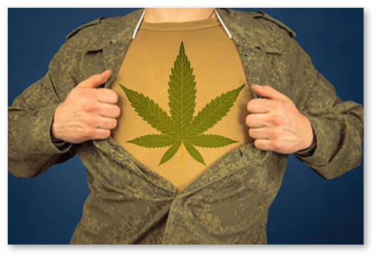 medicinskaya marihuana veteranam