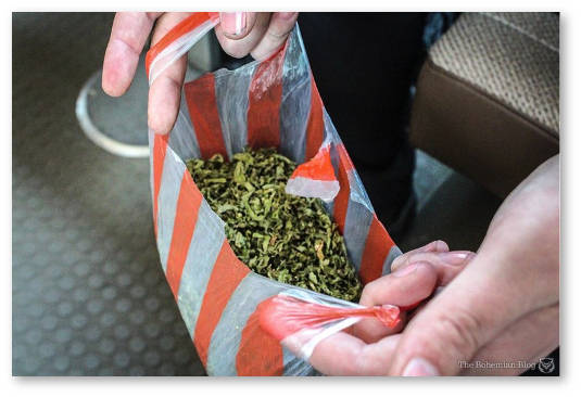 pochem konoplya v severnoj koree