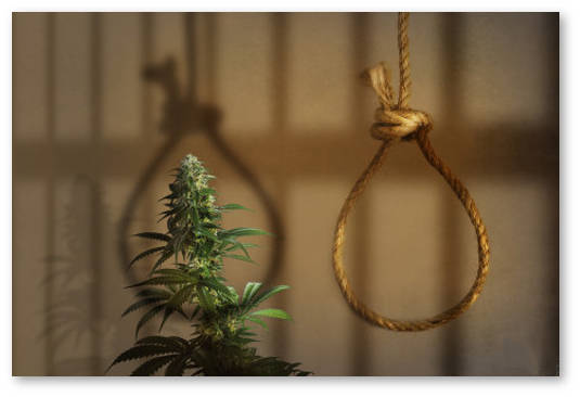 smertnaya kazn za marihuanu