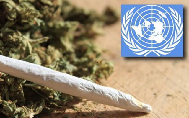 1458115579 un drugpolicies