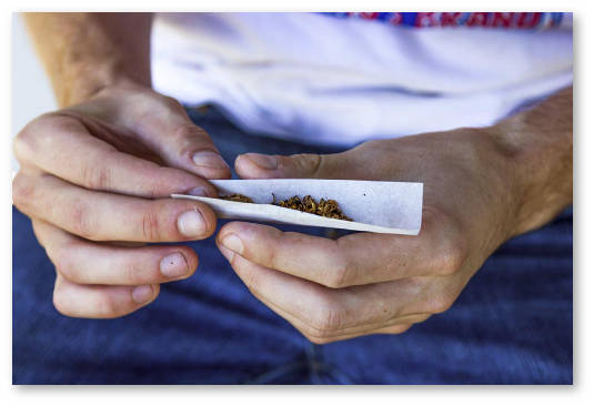 luiziana gotovitsya legalizovat marihuanu