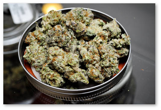 pensilvaniya medicinskaya marihuana