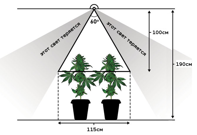 reflektor uvelichivaet otdachu ot lamp