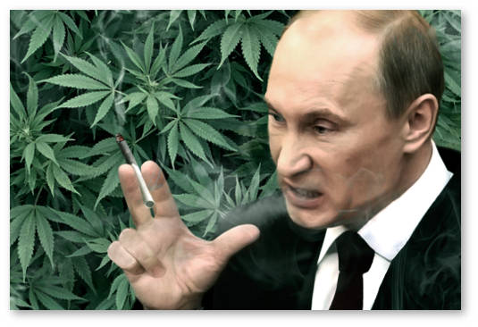 rossiya voditelej obyazhut sdavat mochu na analiz