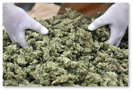 bolgariya demonstraciya za dekriminalizaciyu marihuany