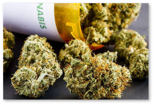 dea vpervye v istorii odobrilo klinicheskie ispytaniya marihuany