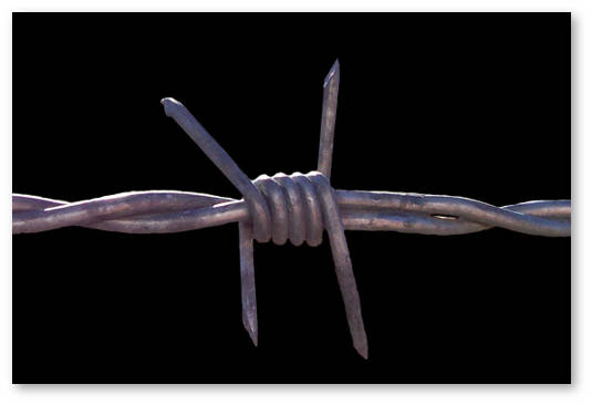 new hampshire obsuzhdaet dekriminalizaciyu