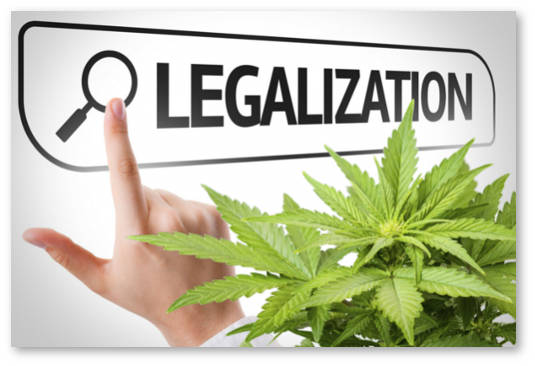 pravovoj status konopli v shtatah ssha