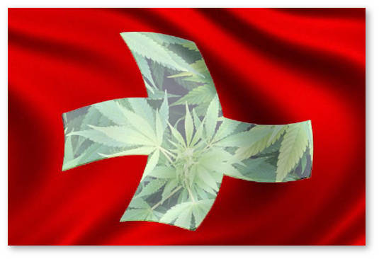 shvejcariya ehksperimenty po legalizacii marihuany