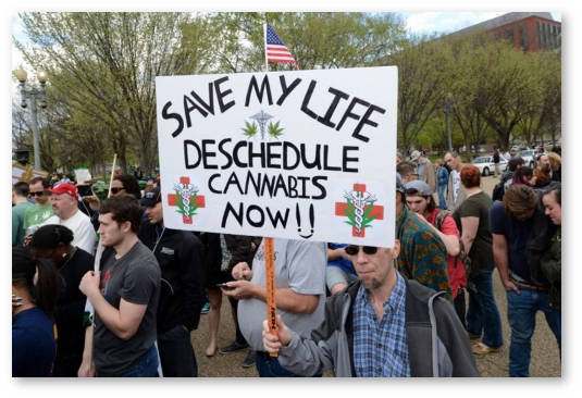 usa otnoshenie vrachej k marihuane