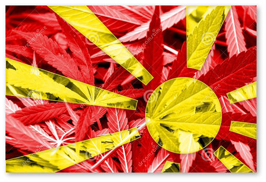 makedoniya medicinskaya marihuana legalizovana 62