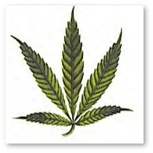 marihuana deficit marganca