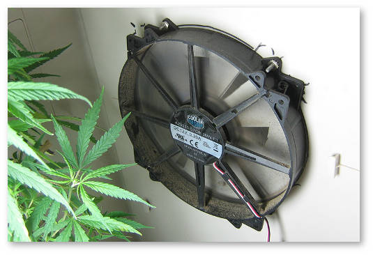 ventilyaciya grouboksa