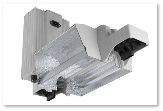 lampa dnat s dvustoronnej cokolevkoj