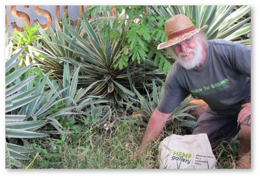 michael balderstone marihuana v avstralii