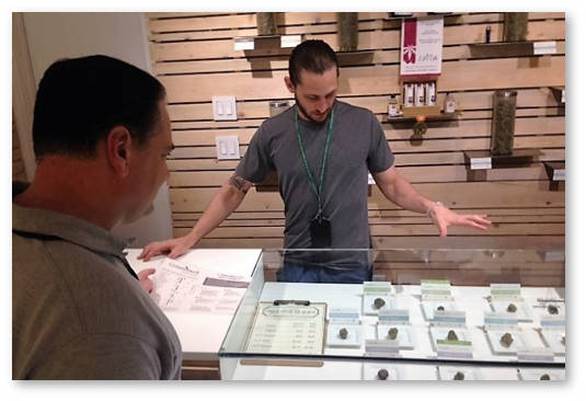 senator new jersey poseshchaet konoplyanyj magazin colorado