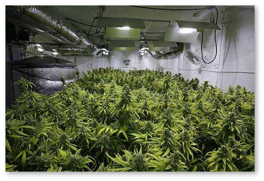 ventilyaciya generator uglekislogo gaza