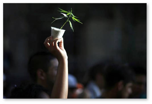 germaniya marsh za legalizaciyu marihuany