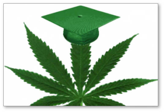 universitety vyrashchivanie marihuany dlya federalnyh issledovanij