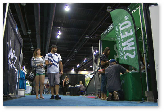 vankuver kanada vystavka marihuana konoplya