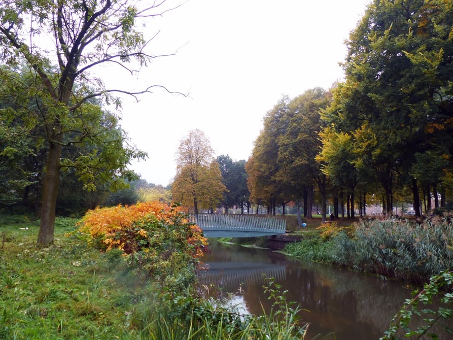 3 biocomposite bridge eindhoven