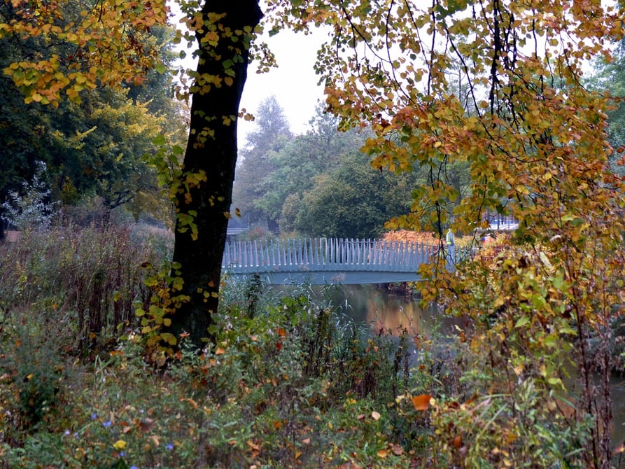 4 biocomposite bridge eindhoven