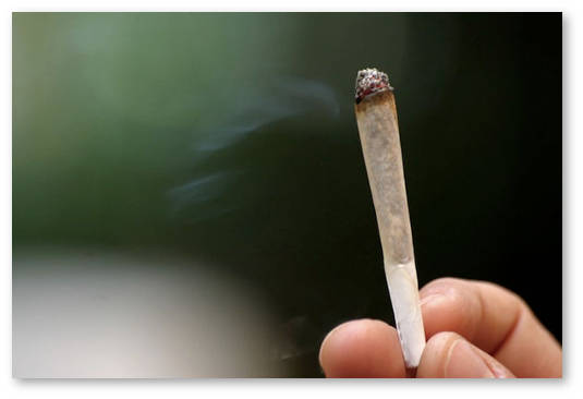 legalizaciya marihuany statistika nalogi