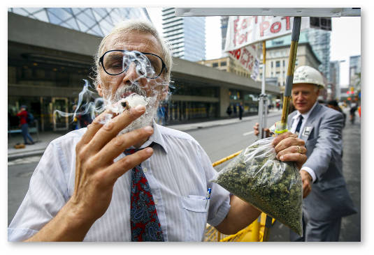 marihuana povyshaet rabotosposobnost pozhilyh lyudej