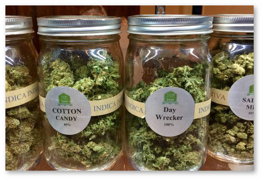 podderzhka legalizacii marihuany