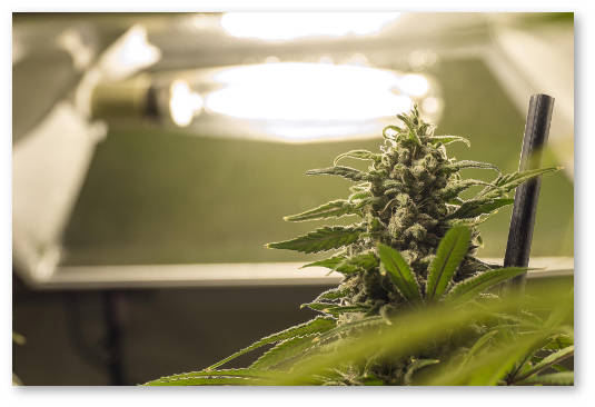 rasstoyanie verhushek lampy