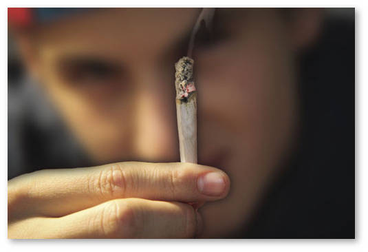 tennessi dekriminalizaciya hraneniya marihuany