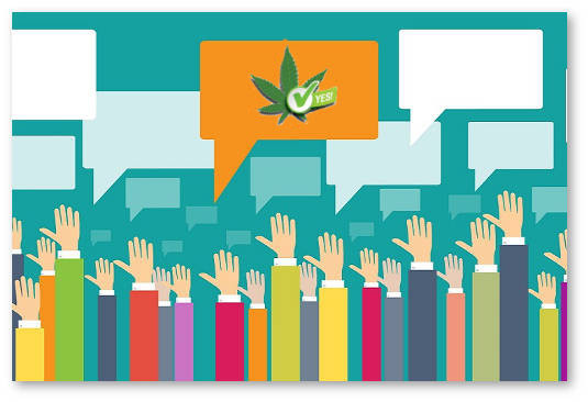 usa golosuyut kurilshchiki marihuany