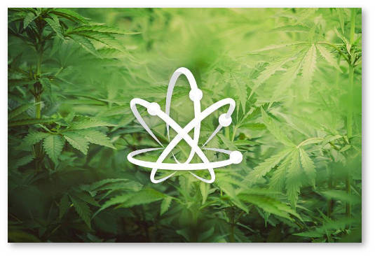 velikobritaniya medicinskaya marihuana cbd